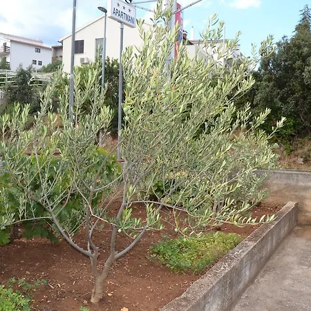 Antonio 1 דירה